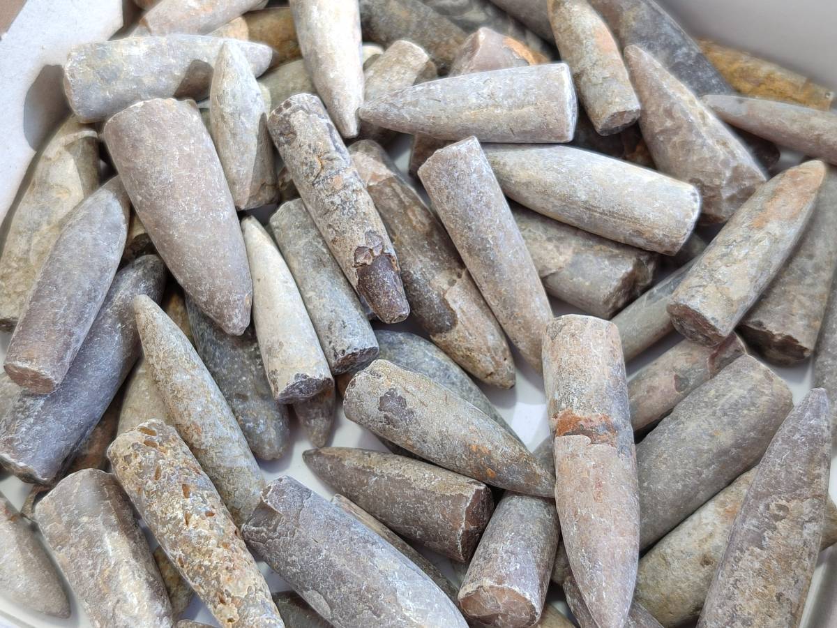 Natural Belemnite Fossil Specimens x 2kg Lots From Maintirano, Madagascar - Toprock Gemstones and Minerals 