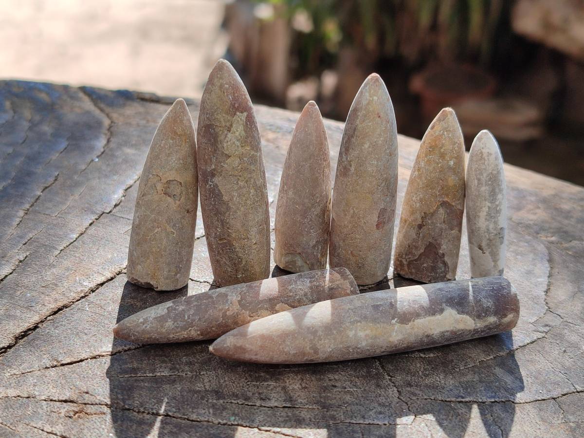 Natural Belemnite Fossil Specimens x 2kg Lots From Maintirano, Madagascar - Toprock Gemstones and Minerals 