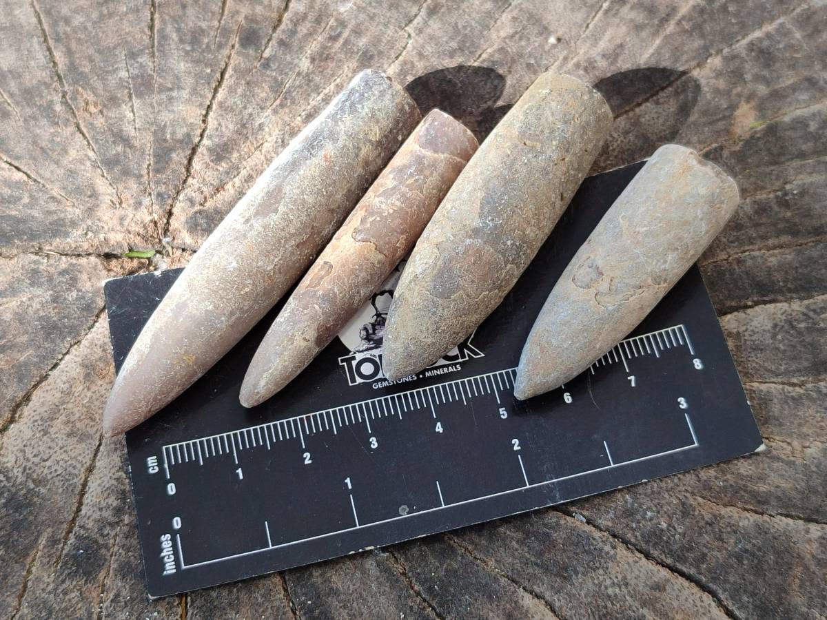 Natural Belemnite Fossil Specimens x 2kg Lots From Maintirano, Madagascar - Toprock Gemstones and Minerals 