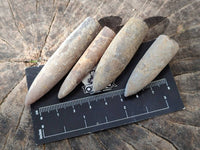 Natural Belemnite Fossil Specimens x 2kg Lots From Maintirano, Madagascar