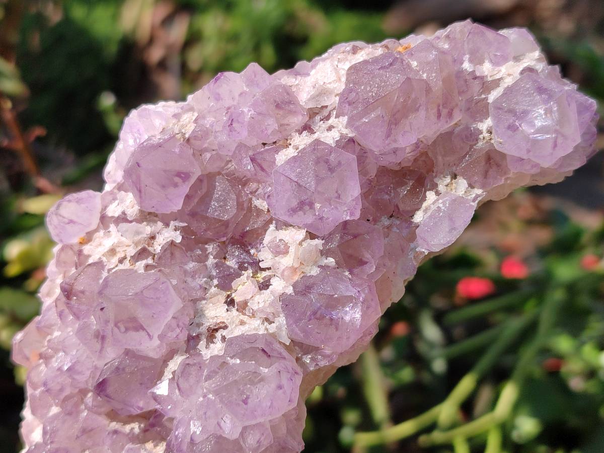 Natural Amethyst Spirit Quartz Clusters x 3 From Boekenhouthoek, South Africa - Toprock Gemstones and Minerals 