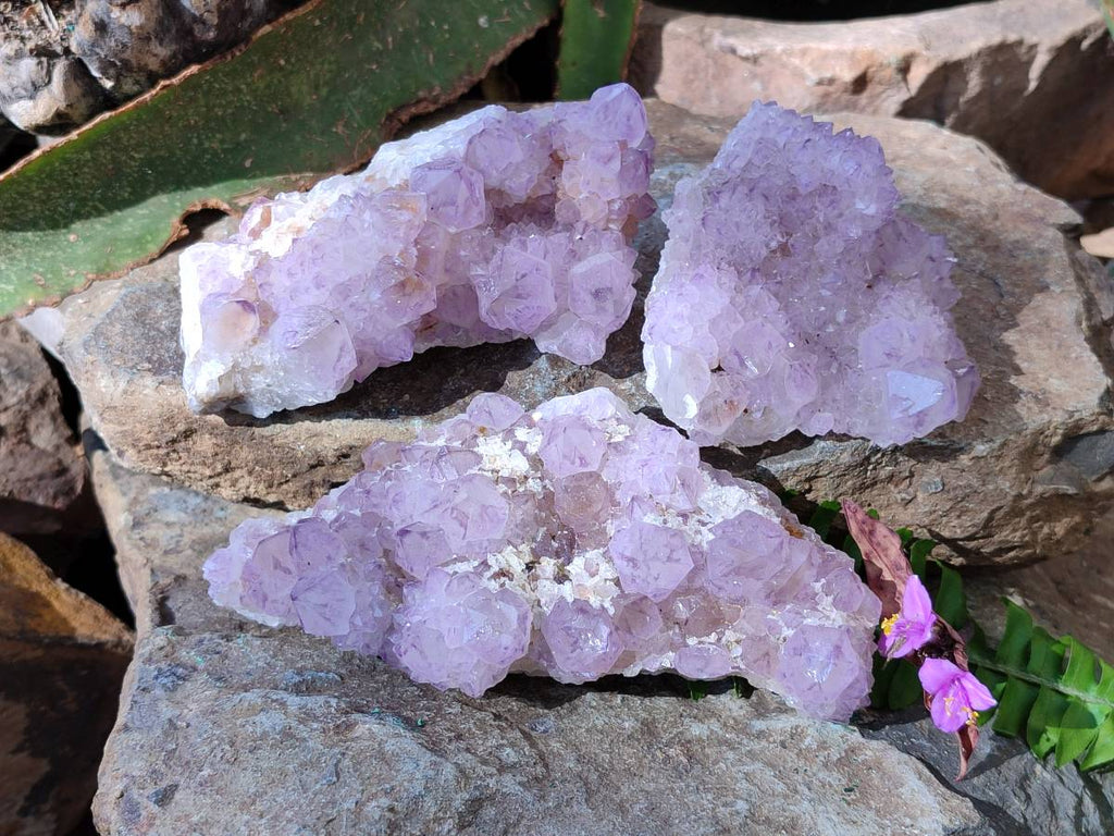 Natural Amethyst Spirit Quartz Clusters x 3 From Boekenhouthoek, South Africa - Toprock Gemstones and Minerals 