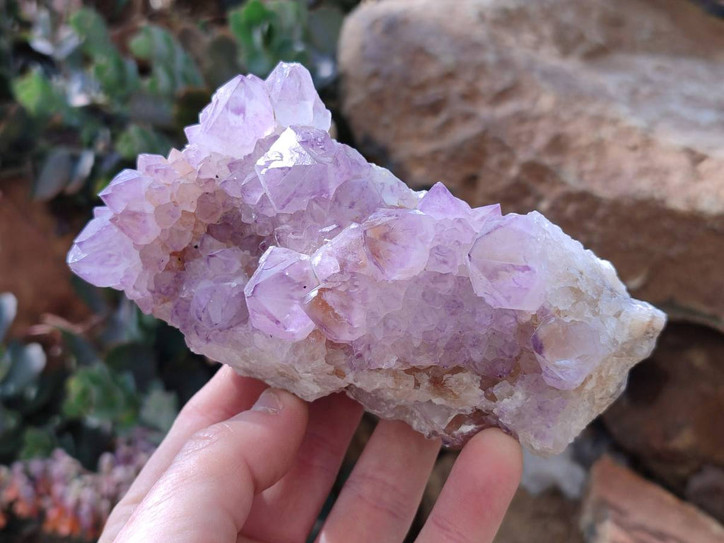 Natural Amethyst Spirit Quartz Clusters x 3 From Boekenhouthoek, South Africa - Toprock Gemstones and Minerals 