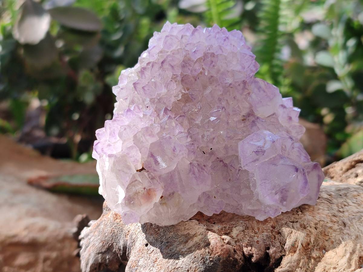 Natural Amethyst Spirit Quartz Clusters x 3 From Boekenhouthoek, South Africa - Toprock Gemstones and Minerals 
