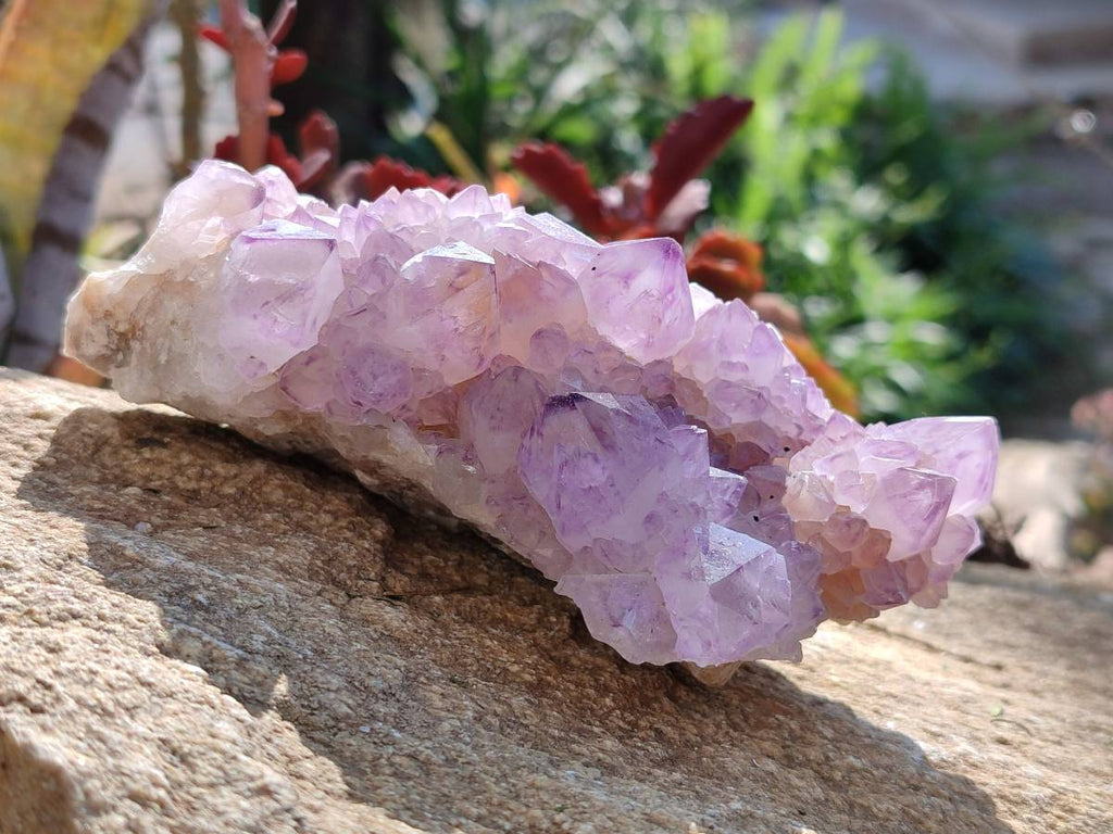 Natural Amethyst Spirit Quartz Clusters x 3 From Boekenhouthoek, South Africa - Toprock Gemstones and Minerals 