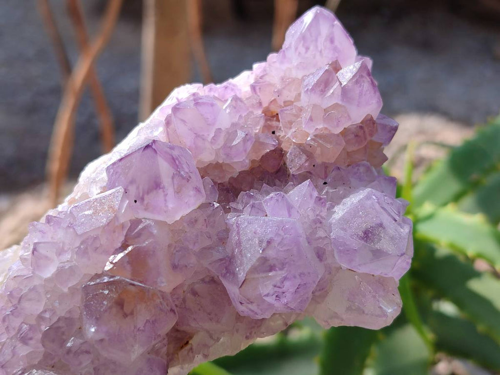 Natural Amethyst Spirit Quartz Clusters x 3 From Boekenhouthoek, South Africa - Toprock Gemstones and Minerals 