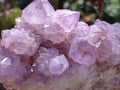 Natural Amethyst Spirit Quartz Clusters x 3 From Boekenhouthoek, South Africa - Toprock Gemstones and Minerals 
