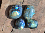 Polished Mixed Selected Multi Mineral Palm Stones x 35 From Madagascar - Toprock Gemstones and Minerals 