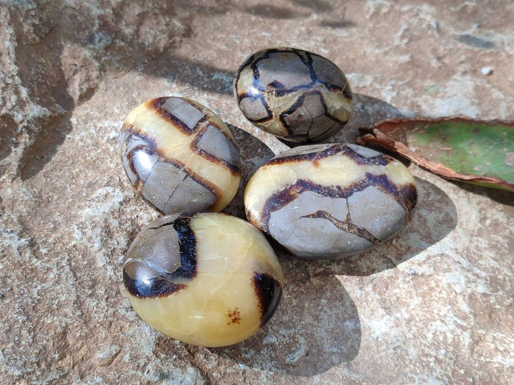 Polished Mixed Selected Multi Mineral Palm Stones x 35 From Madagascar - Toprock Gemstones and Minerals 