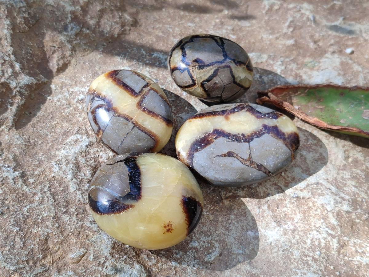 Polished Mixed Selected Multi Mineral Palm Stones x 35 From Madagascar - Toprock Gemstones and Minerals 