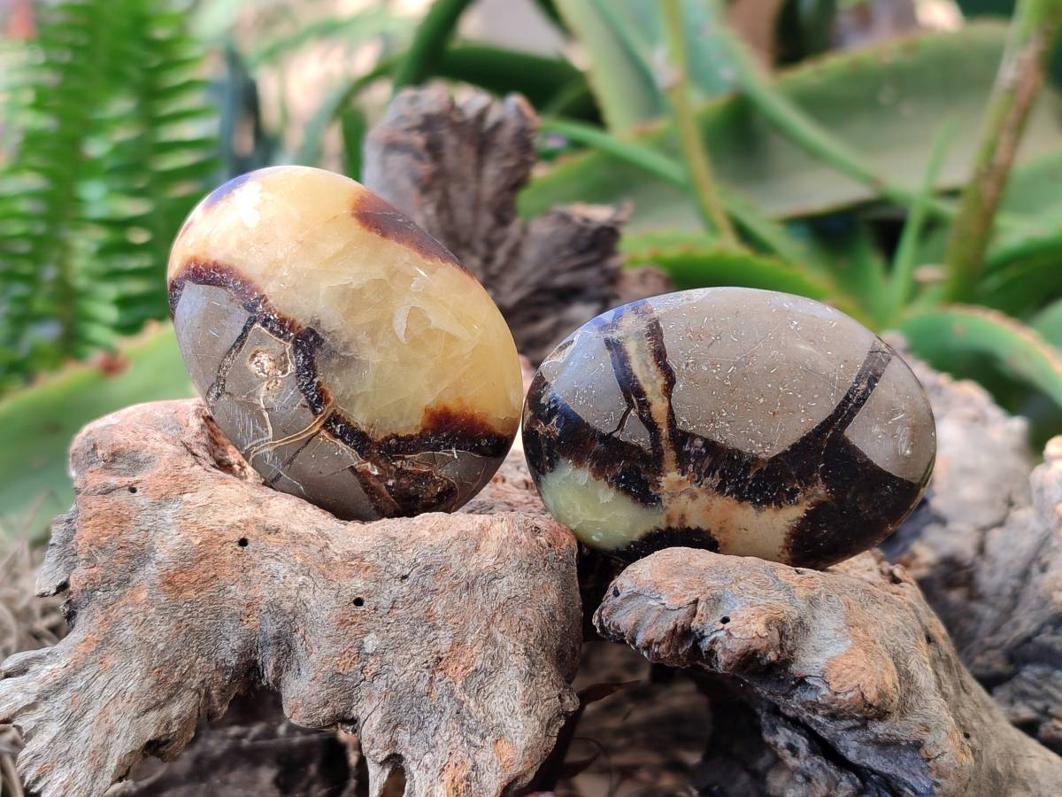 Polished Mixed Selected Multi Mineral Palm Stones x 35 From Madagascar - Toprock Gemstones and Minerals 