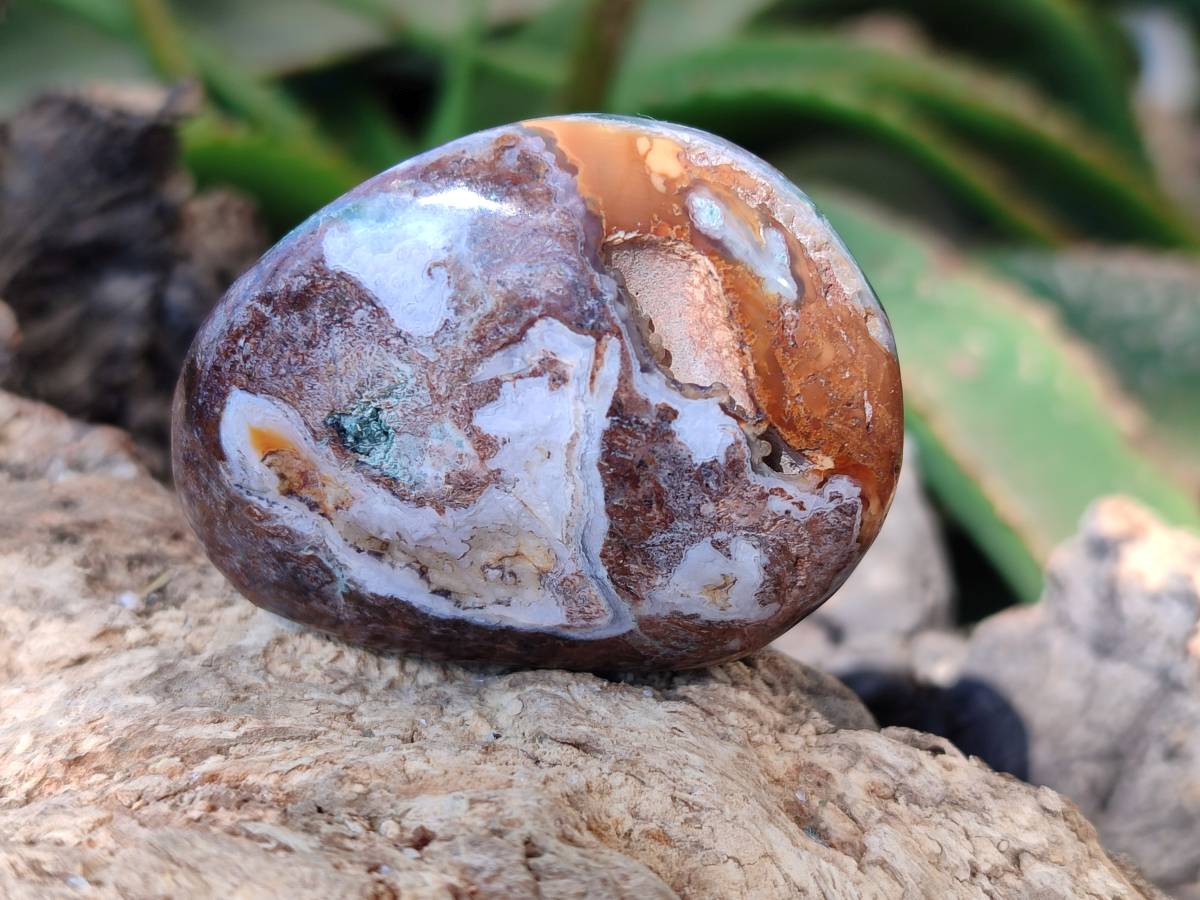 Polished Mixed Selected Multi Mineral Palm Stones x 35 From Madagascar - Toprock Gemstones and Minerals 