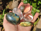 Polished Mixed Selected Multi Mineral Palm Stones x 35 From Madagascar - Toprock Gemstones and Minerals 