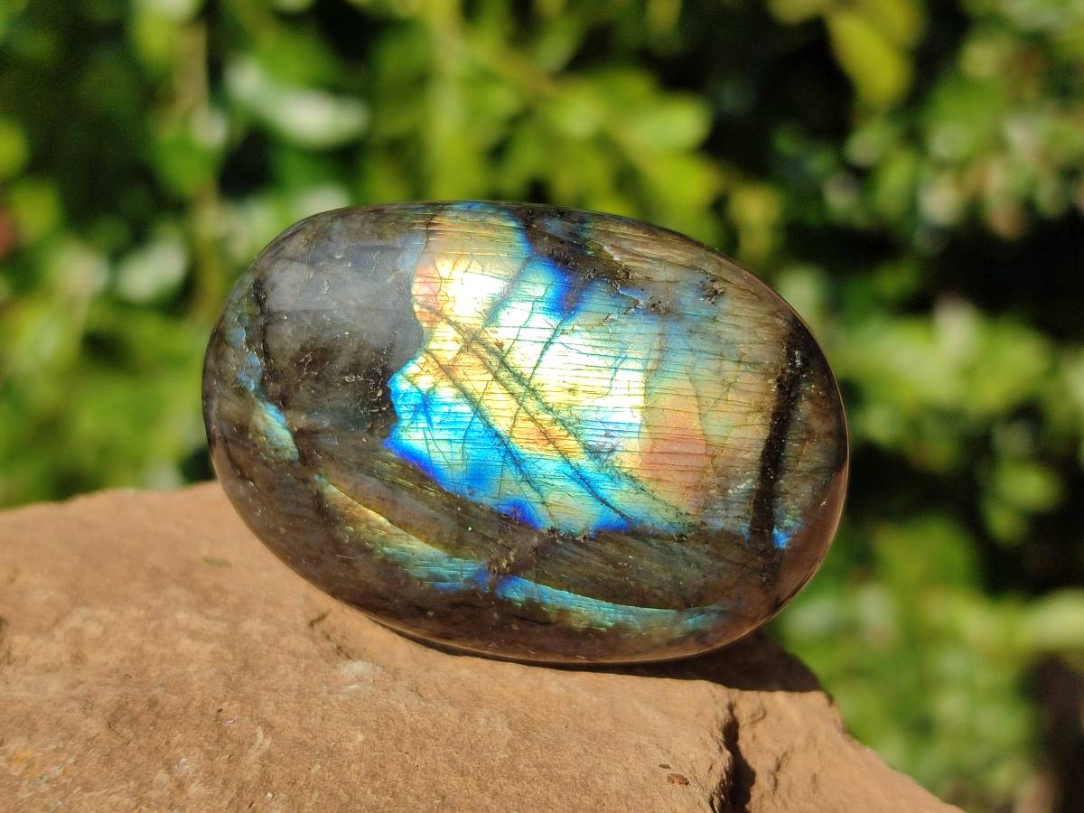 Polished Mixed Selected Multi Mineral Palm Stones x 35 From Madagascar - Toprock Gemstones and Minerals 