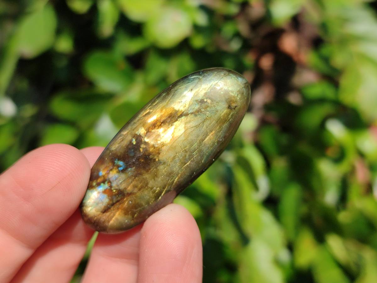 Polished Mixed Selected Multi Mineral Palm Stones x 35 From Madagascar - Toprock Gemstones and Minerals 