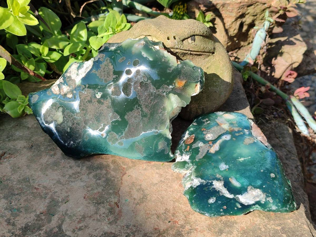 Polished On One Side Emerald Mtorolite Plates x 2 From Mutorashanga, Zimbabwe - Toprock Gemstones and Minerals 