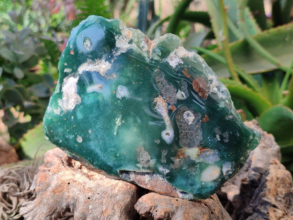 Polished On One Side Emerald Mtorolite Plates x 2 From Mutorashanga, Zimbabwe - Toprock Gemstones and Minerals 