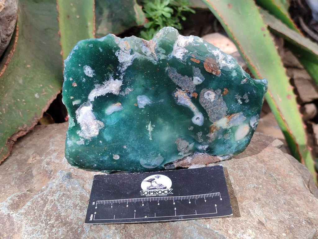 Polished On One Side Emerald Mtorolite Plates x 2 From Mutorashanga, Zimbabwe - Toprock Gemstones and Minerals 