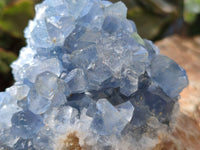 Natural Blue Celestite Crystal Specimens x 6 From Sakoany, Madagascar