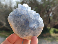 Natural Blue Celestite Crystal Specimens x 6 From Sakoany, Madagascar