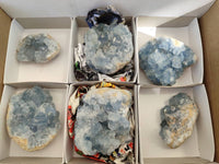 Natural Blue Celestite Crystal Specimens x 6 From Sakoany, Madagascar