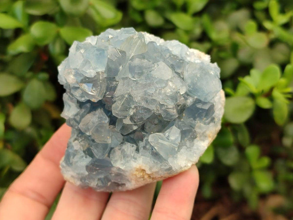 Natural Blue Celestite Crystal Specimens x 6 From Sakoany, Madagascar - Toprock Gemstones and Minerals 