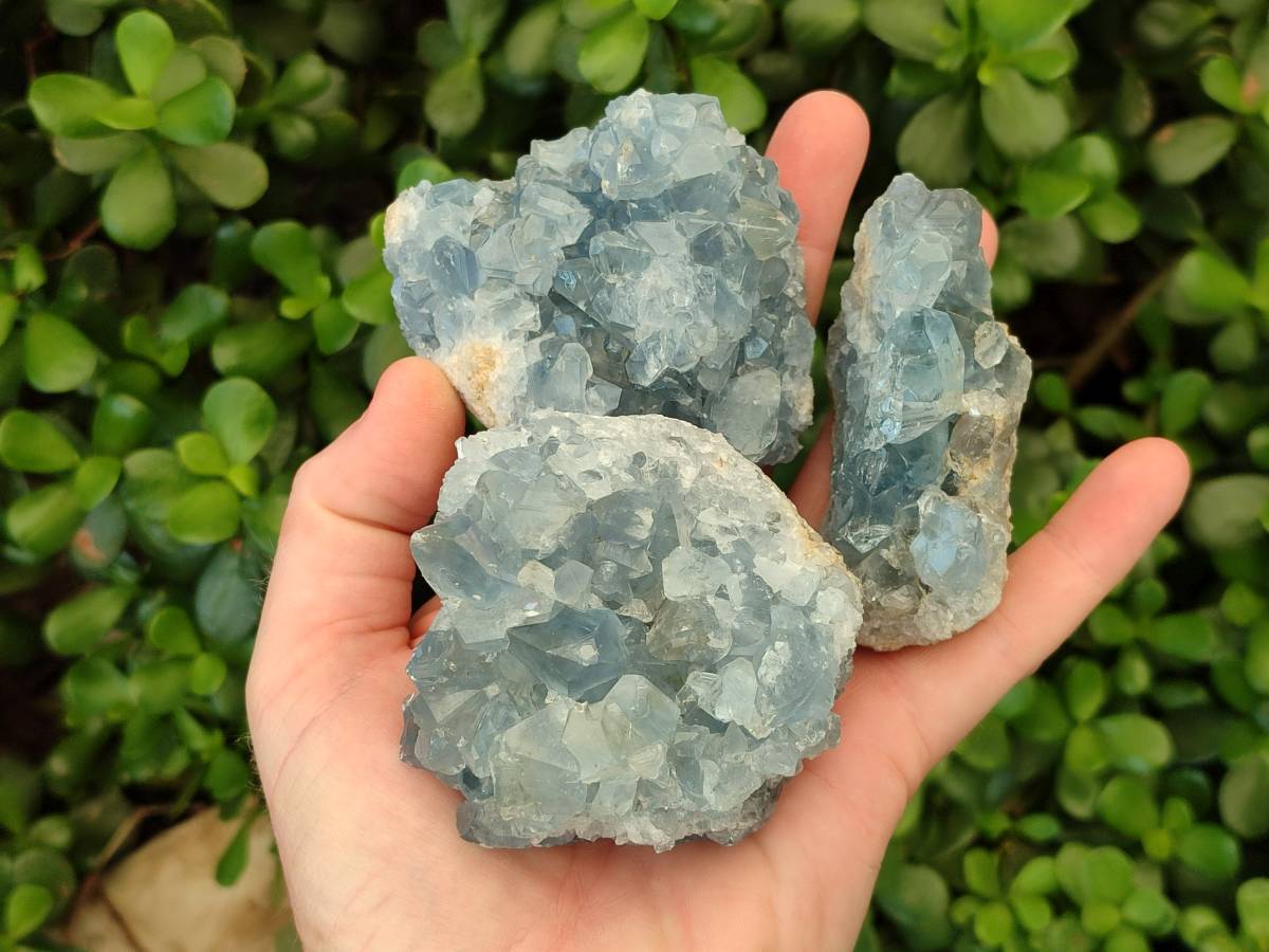 Natural Blue Celestite Crystal Specimens x 6 From Sakoany, Madagascar - Toprock Gemstones and Minerals 