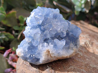 Natural Blue Celestite Crystal Specimens x 6 From Sakoany, Madagascar