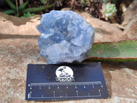 Natural Blue Celestite Crystal Specimens x 6 From Sakoany, Madagascar
