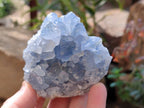 Natural Blue Celestite Crystal Specimens x 6 From Sakoany, Madagascar - Toprock Gemstones and Minerals 