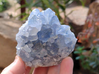 Natural Blue Celestite Crystal Specimens x 6 From Sakoany, Madagascar