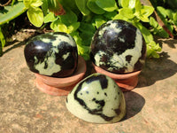 Polished Leopard Stone Standing Free Forms x 12 From Nyanga, Zimbabwe