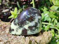 Polished Leopard Stone Standing Free Forms x 12 From Nyanga, Zimbabwe