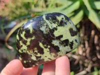 Polished Leopard Stone Standing Free Forms x 12 From Nyanga, Zimbabwe