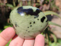 Polished Leopard Stone Standing Free Forms x 12 From Nyanga, Zimbabwe
