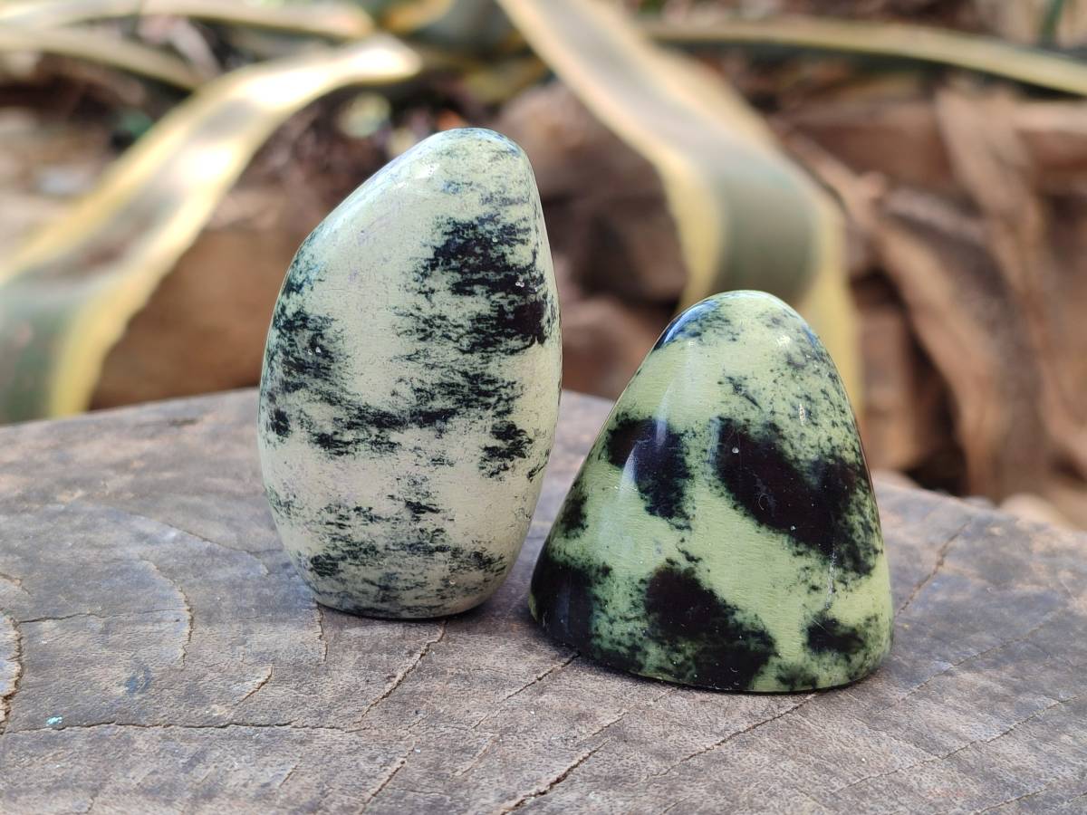 Polished Leopard Stone Standing Free Forms x 12 From Nyanga, Zimbabwe - Toprock Gemstones and Minerals 