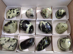 Polished Leopard Stone Standing Free Forms x 12 From Nyanga, Zimbabwe - Toprock Gemstones and Minerals 