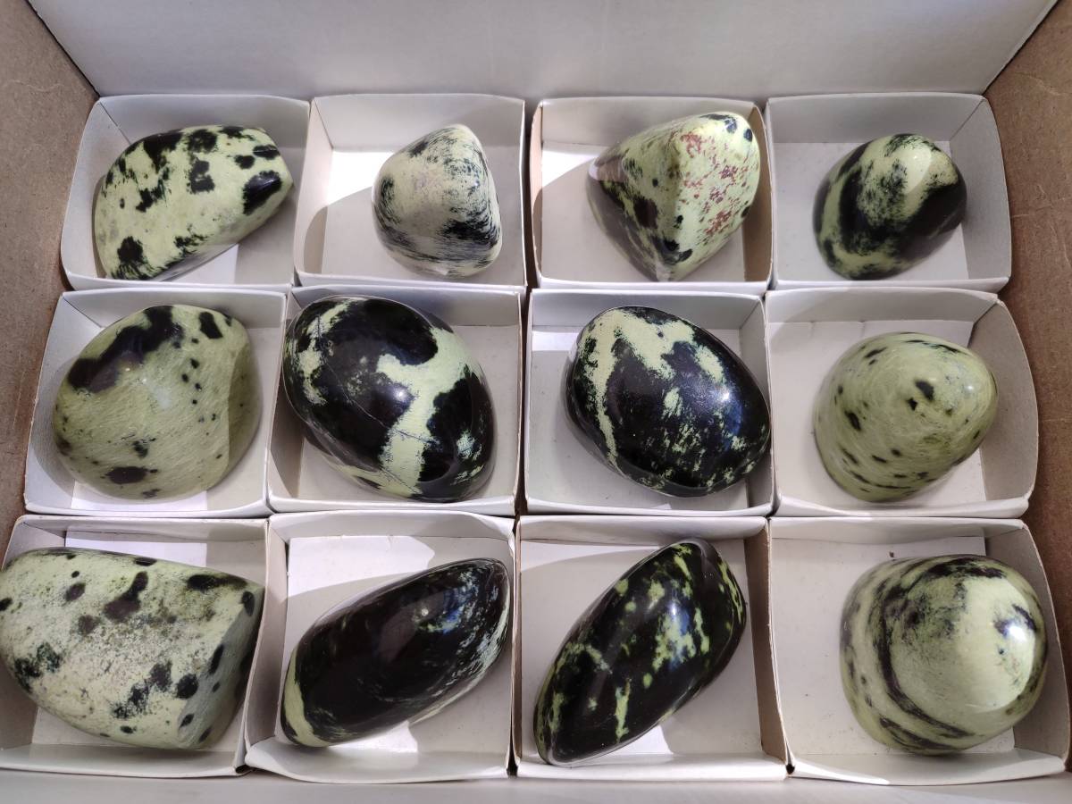 Polished Leopard Stone Standing Free Forms x 12 From Nyanga, Zimbabwe - Toprock Gemstones and Minerals 
