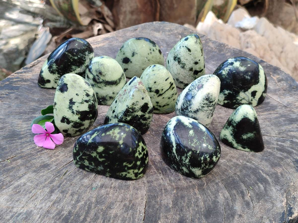 Polished Leopard Stone Standing Free Forms x 12 From Nyanga, Zimbabwe - Toprock Gemstones and Minerals 