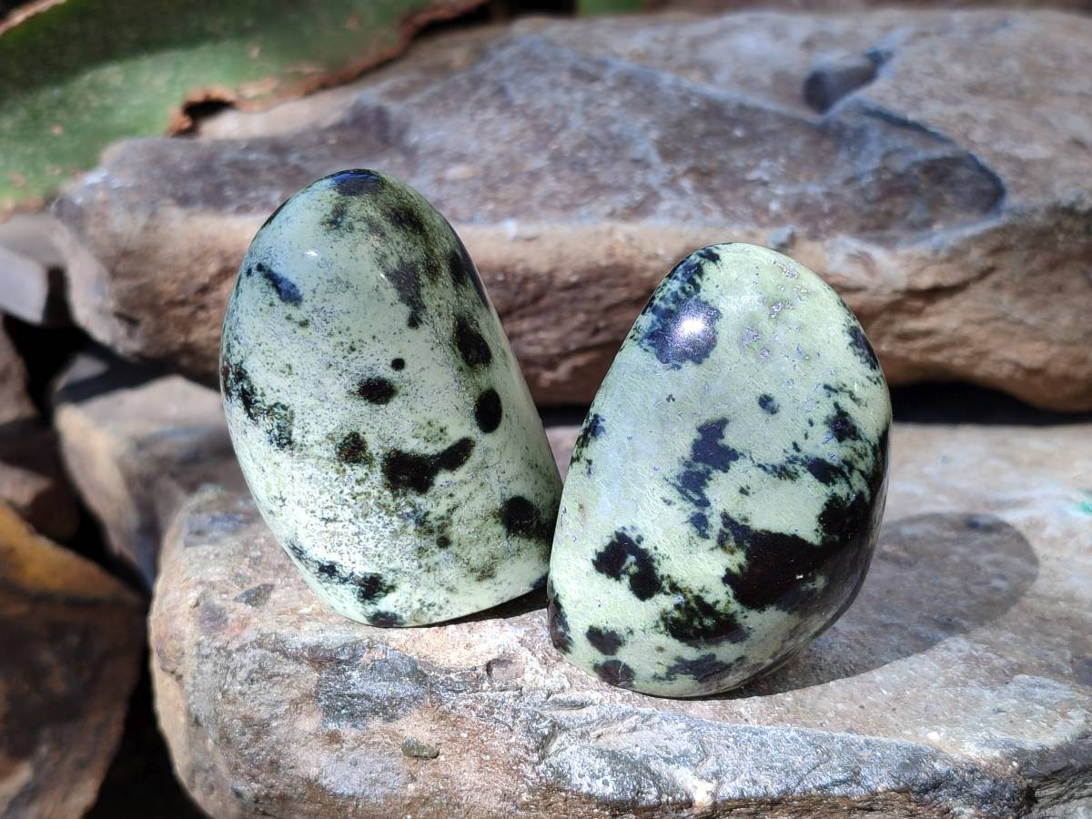 Polished Leopard Stone Standing Free Forms x 12 From Nyanga, Zimbabwe - Toprock Gemstones and Minerals 