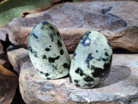 Polished Leopard Stone Standing Free Forms x 12 From Nyanga, Zimbabwe