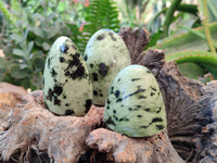 Polished Leopard Stone Standing Free Forms x 12 From Nyanga, Zimbabwe