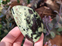 Polished Leopard Stone Standing Free Forms x 12 From Nyanga, Zimbabwe