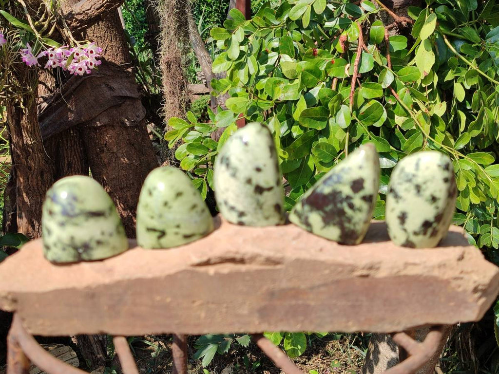 Polished Leopard Stone Standing Free Forms x 12 From Nyanga, Zimbabwe - Toprock Gemstones and Minerals 