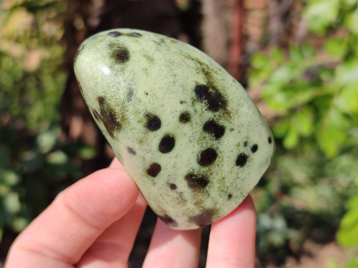 Polished Leopard Stone Standing Free Forms x 12 From Nyanga, Zimbabwe - Toprock Gemstones and Minerals 