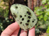 Polished Leopard Stone Standing Free Forms x 12 From Nyanga, Zimbabwe