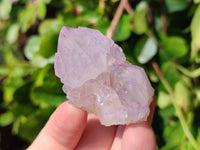 Natural Amethyst Spirit Quartz Clusters x 20 From Boekenhouthoek, South Africa