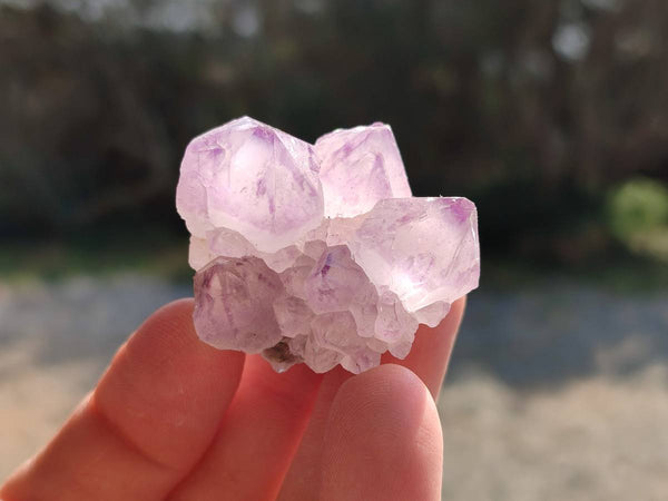 Natural Amethyst Spirit Quartz Clusters x 20 From Boekenhouthoek, South Africa