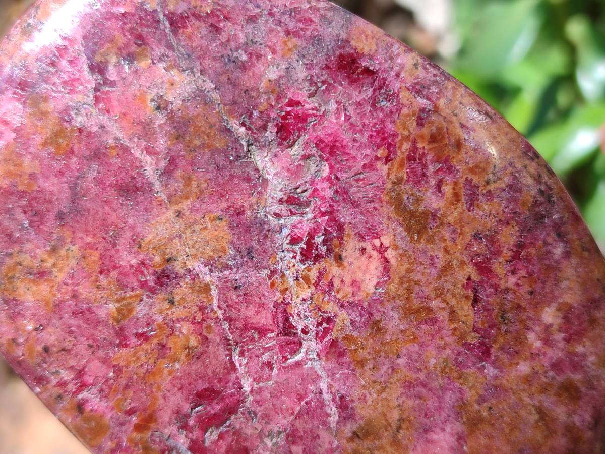 Polished Rhodonite Free Form x 1 Standing Free Form x 4 From Rhusinga, Zimbabwe - Toprock Gemstones and Minerals 