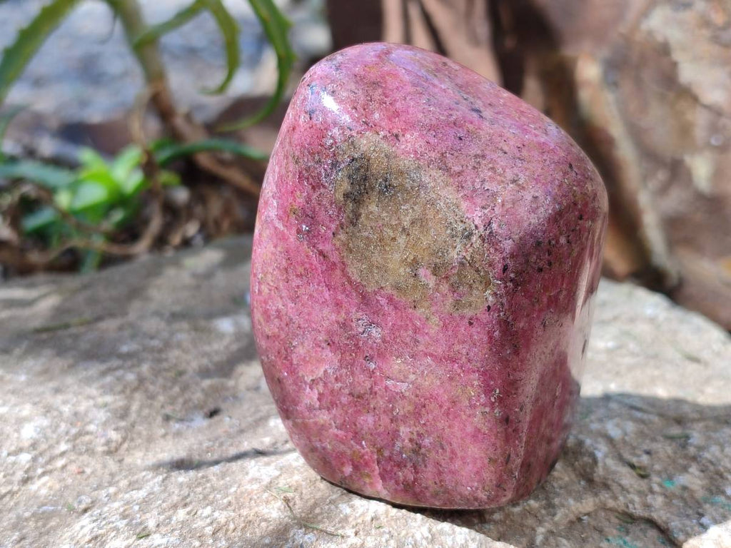 Polished Rhodonite Free Form x 1 Standing Free Form x 4 From Rhusinga, Zimbabwe - Toprock Gemstones and Minerals 